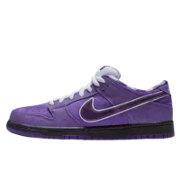 Nike SB X concepts purple