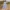 Women’s Long Stripe Dress  – Elegant V-Neck Office & Party Gown