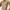 Gym Seamless Set – Women shorts Leggings & Crop Top