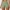 Gym Seamless Set – Women shorts Leggings & Crop Top