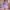 Girls elegant princess dress lavender with ruffled sleeves, layered tulle skirt, and decorative back bow, displayed for catalog