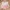 Baby girl outfit set with cream ribbed top, floral suspender skirt, matching headband bow, and beige shoes with bows, arranged on wooden surface.