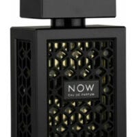 NOW Eau de Parfum by RAVE, black bottle with geometric lattice design, modern masculine fragrance