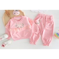 Elegant Baby Girl Outfit Set | Coordinated Infant Fashion Elegant baby girl outfit set with long‑sleeved ruffled top and matching pants decorated with floral embroidery, displayed flat for catalog.