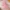 Girls summer outfit set with sleeveless top and matching shorts, displayed for catalog