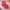 Girls summer outfit set with sleeveless top and matching shorts, displayed for catalog