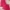 Girls summer outfit set with sleeveless top and matching shorts, displayed for catalog