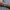 Fensir Luxury Nautical Quartz Watch