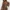 Leopard Print Long-Sleeve Jumpsuit - Brown Combo