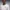 Senegal Home Football Jersey 2026
